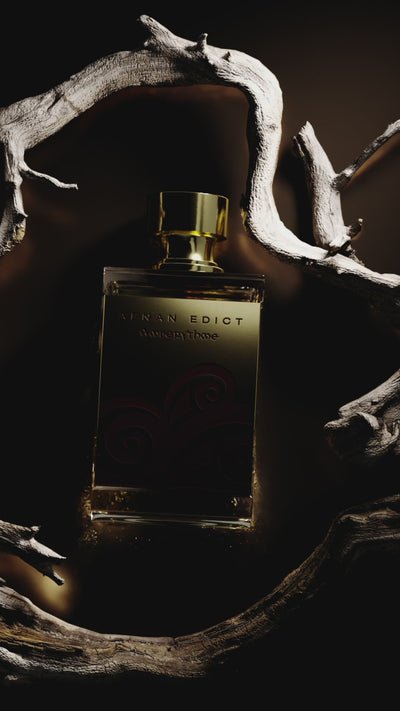 Afnan Edict Ouddiction Eau De Parfum Spray 80ml - Fragrance London