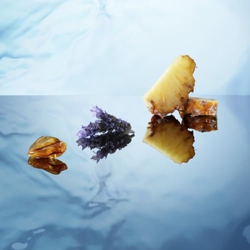 Antonio Banderas King of Seduction Eau De Toilette Spray 100ml - Fragrance London