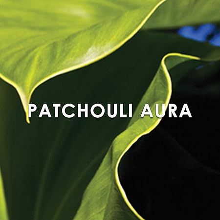 Britney Spears Believe Eau de Parfum Spray 30ml - Fragrance London