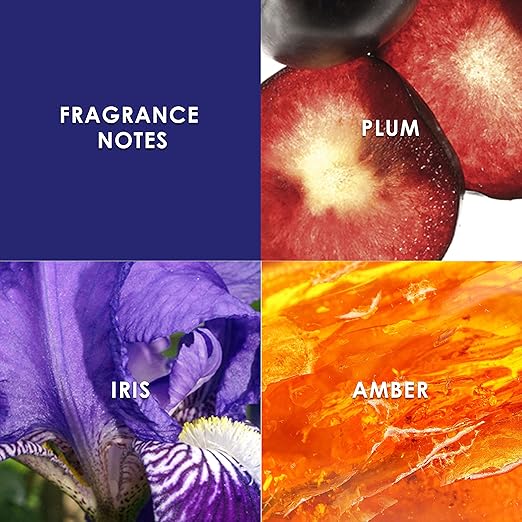 Britney Spears Midnight Fantasy Body Mist 236ml - Fragrance London