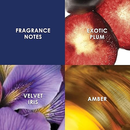 Britney Spears Midnight Fantasy Eau De Parfum Spray 50ml - Fragrance London