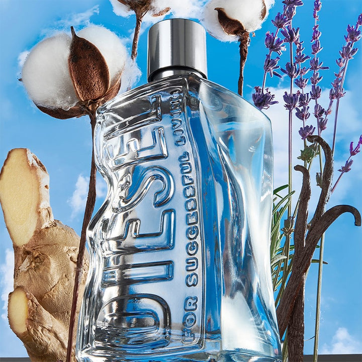 Diesel D Eau De Toilette Spray 50ml - Fragrance London
