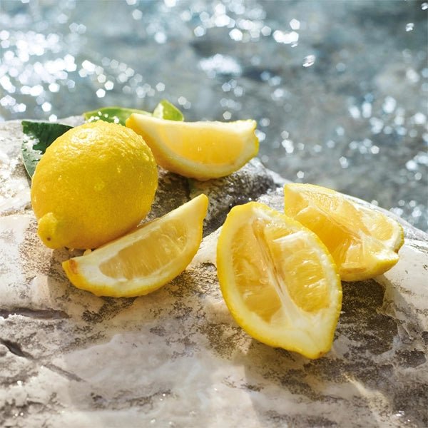 Dolce & Gabbana Light Blue Eau De Toilette Spray 125ml - Fragrance London