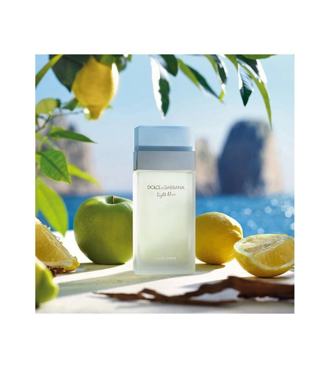Dolce & Gabbana Light Blue Eau de Toilette Spray 25ml - Fragrance London