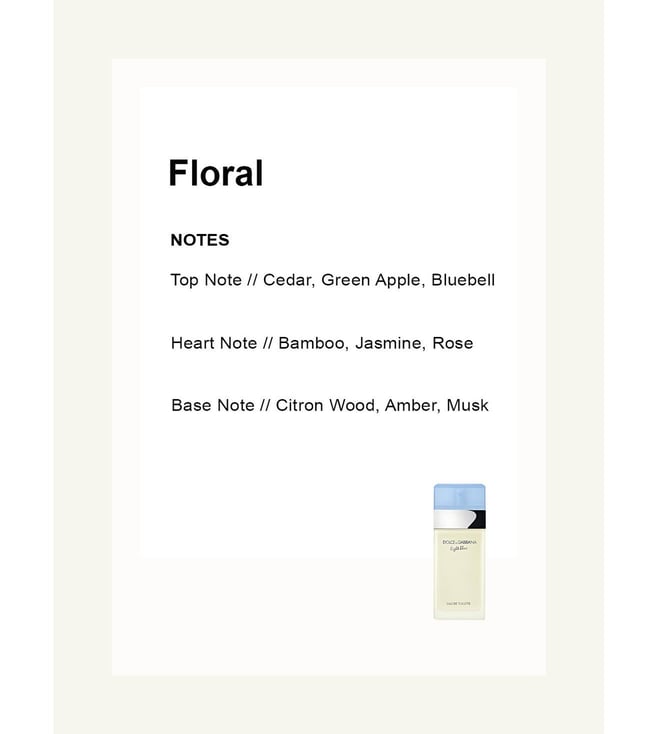 Dolce & Gabbana Light Blue Eau de Toilette Spray 25ml - Fragrance London