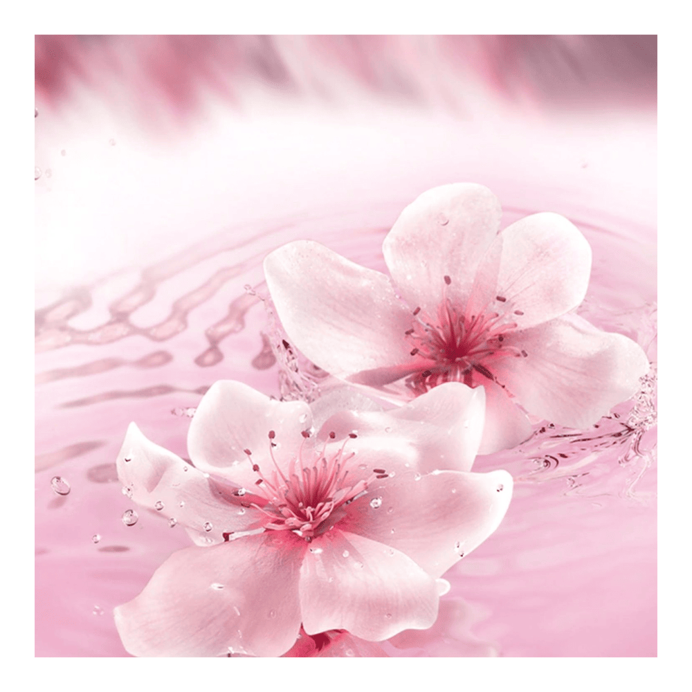 Estee Lauder Dream Dusk Eau De Parfum Spray 40ml - Fragrance London