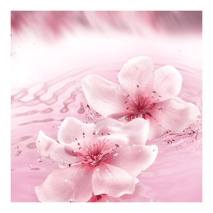 Estee Lauder Dream Dusk Eau De Parfum Spray 40ml - Fragrance London