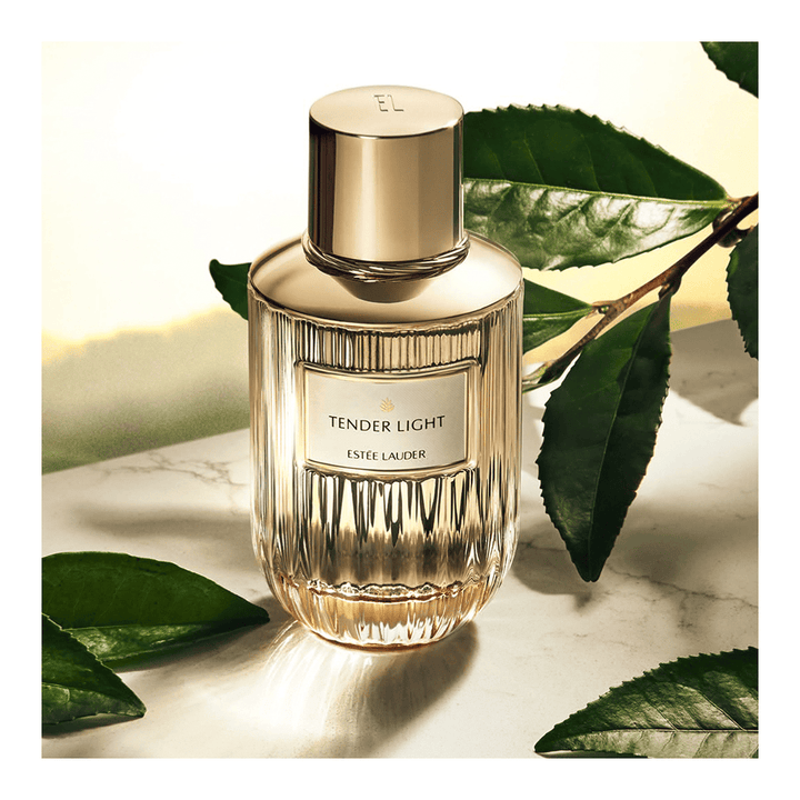 Estee Lauder Tender Light Eau De Parfum Spray 100ml - Fragrance London