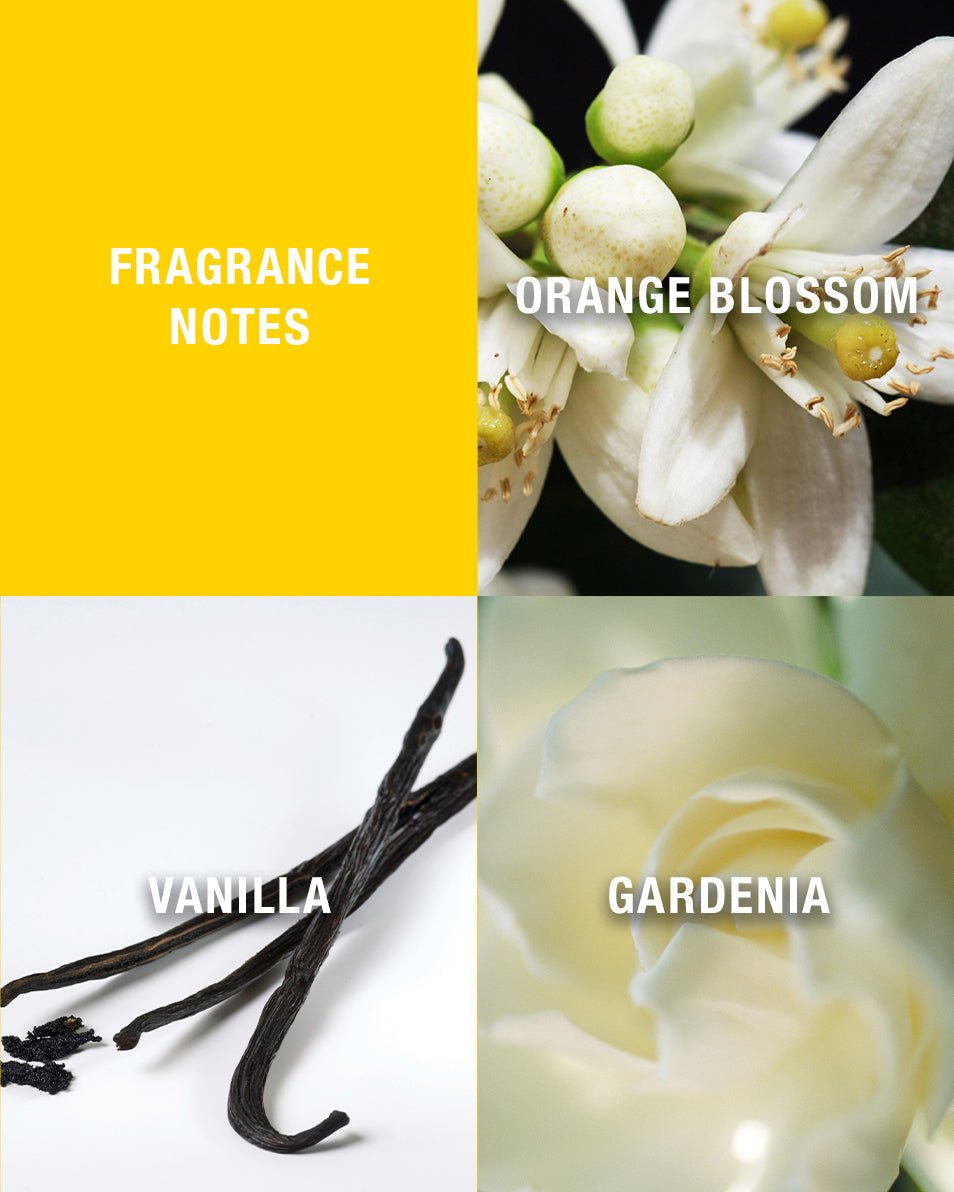 Giorgio Beverly Hills Giorgio Yellow Eau De Toilette Spray 30ml - Fragrance London