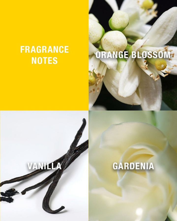 Giorgio Beverly Hills Giorgio Yellow Eau De Toilette Spray 30ml - Fragrance London