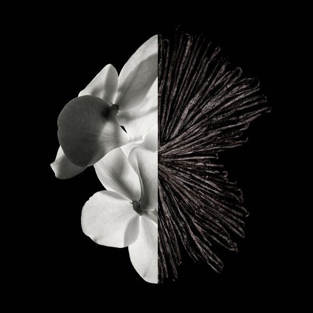 Givenchy Gentleman Eau De Parfum Spray 60ml - Fragrance London