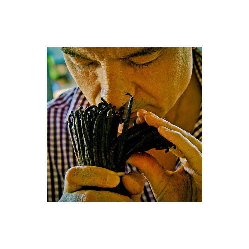 Guerlain Shalimar Eau De Parfum Spray 50ml - Fragrance London