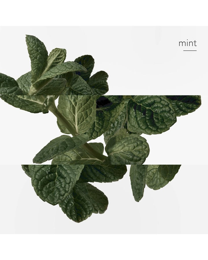 Hermes Eau d'Orange Verte Eau De Cologne Spray 100ml - Fragrance London