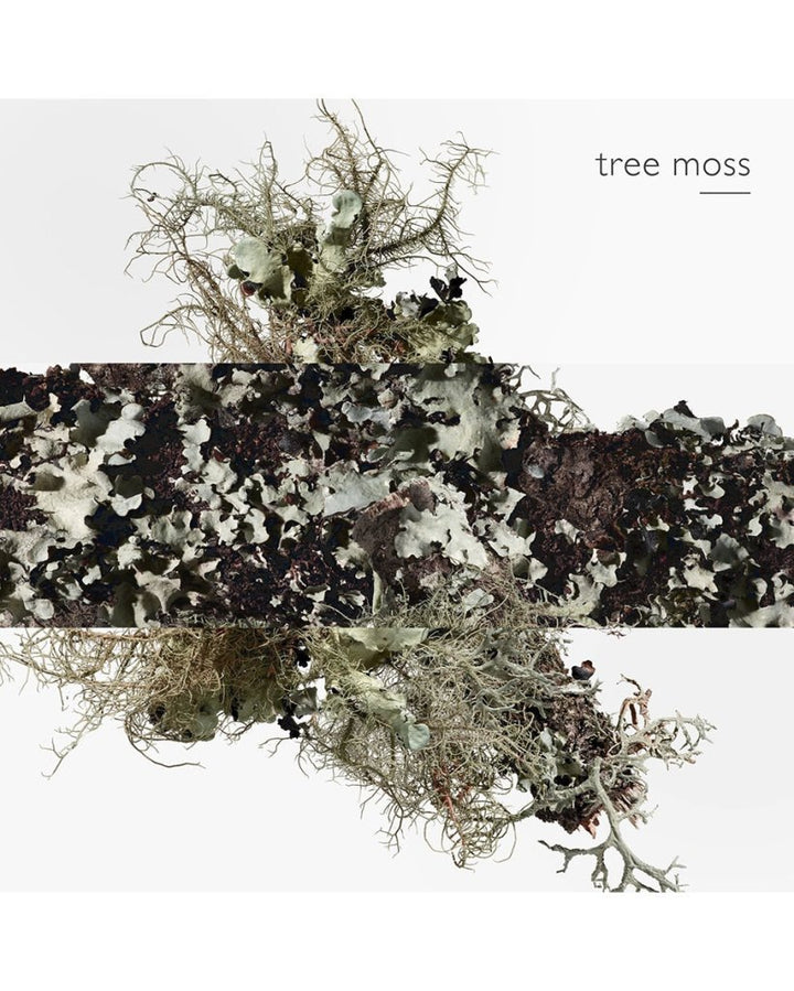 Hermes Eau d'Orange Verte Eau De Cologne Spray 100ml - Fragrance London