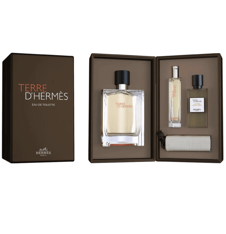 Hermès Terre d’Hermès Gift Set (Eau De Toilette 100ml + Eau De Toilette 15ml + Shower Gel 40ml) - Fragrance London