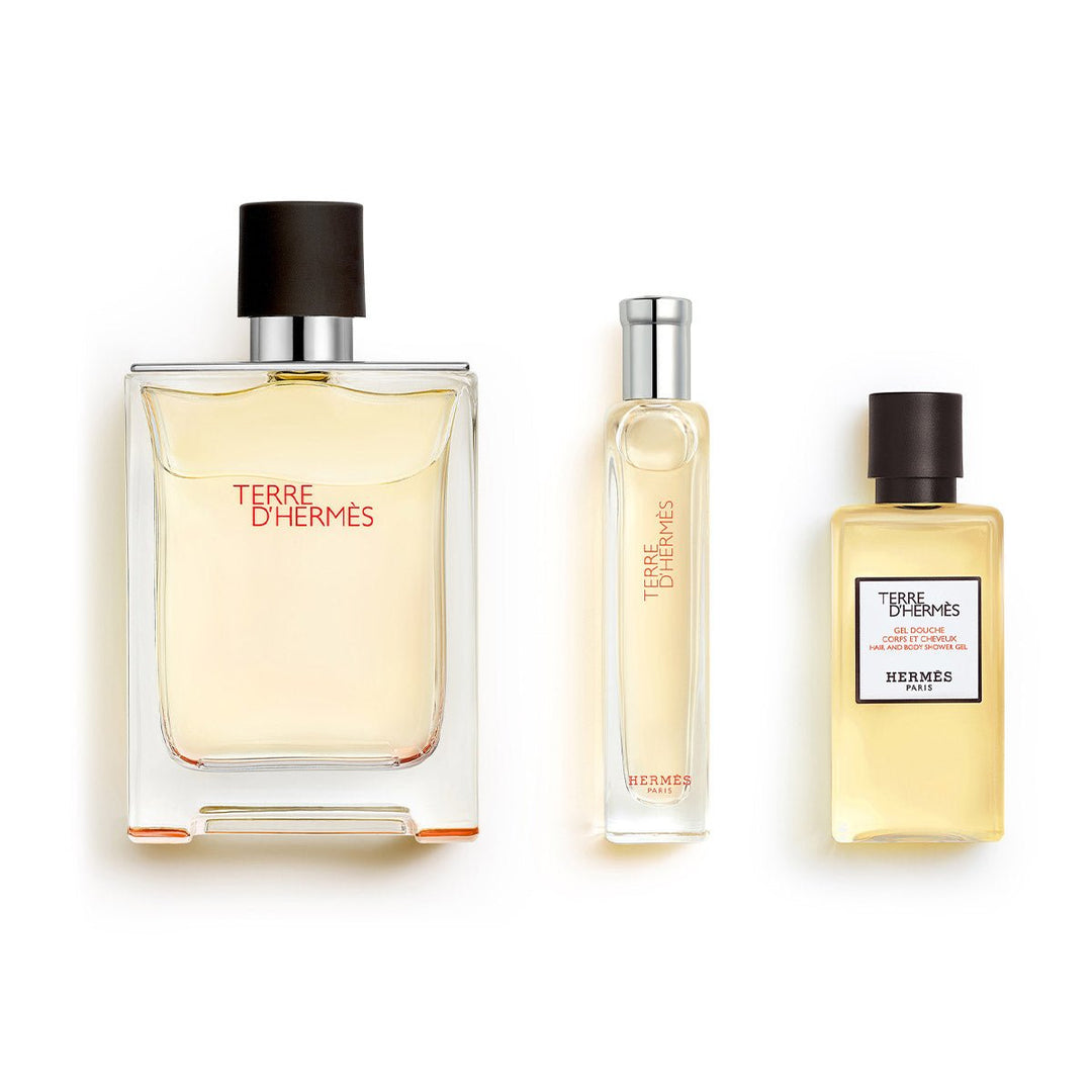 Hermes Terre D'Hermes Gift Set (Eau De Toilette Spray 100ml + Eau De Toilette Spray 15ml + Hair & Body Shower Gel 40ml) - Fragrance London