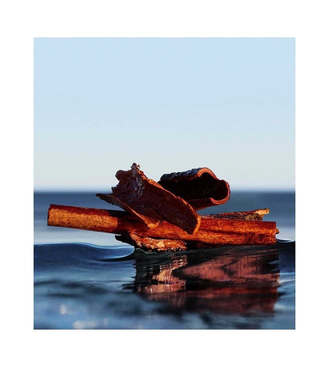 Hugo Boss Boss Bottled Infinite Eau de Parfum Spray 50ml - Fragrance London