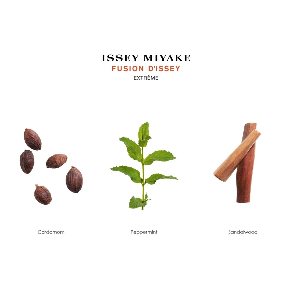 Issey Miyake Fusion D'Issey Extreme Eau de Toilette Spray 100ml - Fragrance London