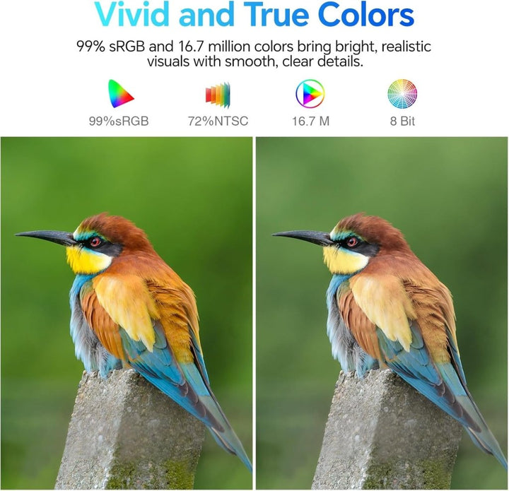 KOORUI 24" Gaming Monitor 100Hz FHD VA HDMI/VGA – E2412F - Fragrance London