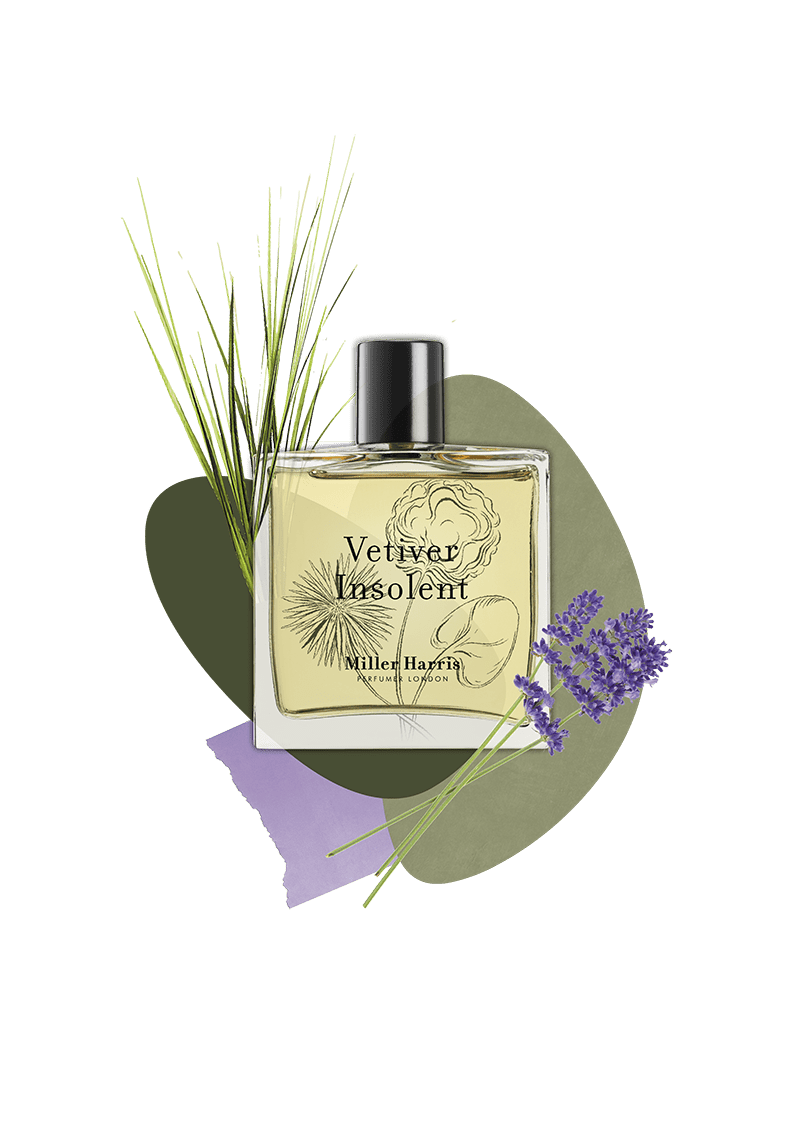 Miller Harris Vetiver Insolent Unisex Eau de Parfum Spray 100ml - Fragrance London