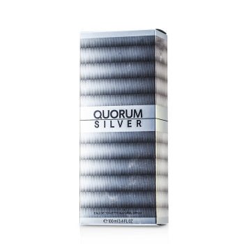 Puig Quorum Silver Eau De Toilette Spray 100ml - Fragrance London