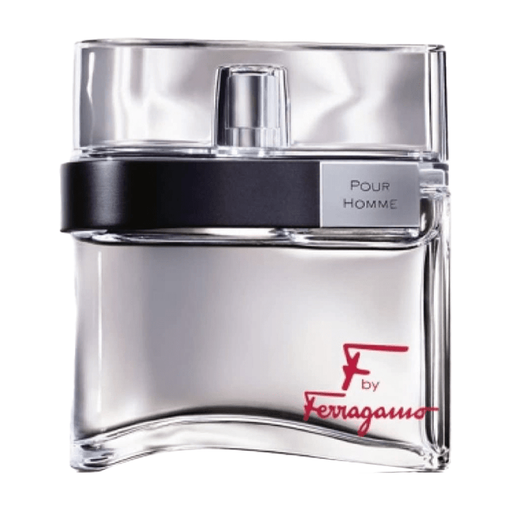 Salvatore Ferragamo F Pour Homme Eau de Toilette Spray 100ml - Fragrance London