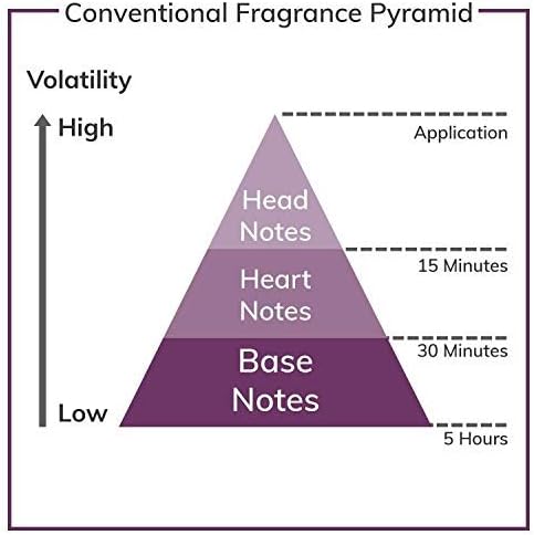 Thierry Mugler Alien Fusion Eau De Parfum Spray 60ml - Fragrance London