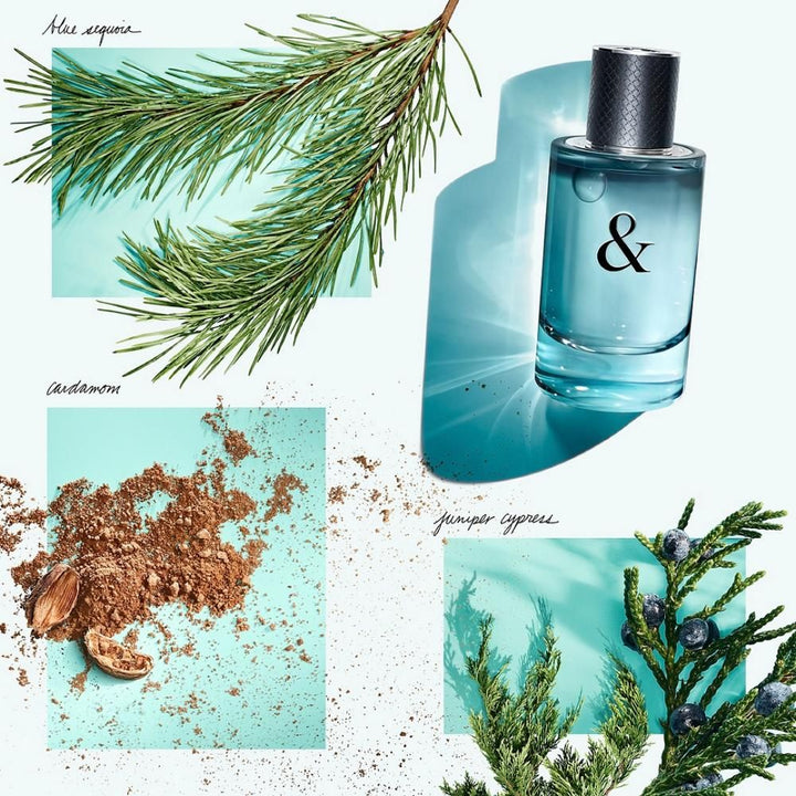 Tiffany & Co Tiffany & Love Eau De Toilette Spray 50ml - Fragrance London