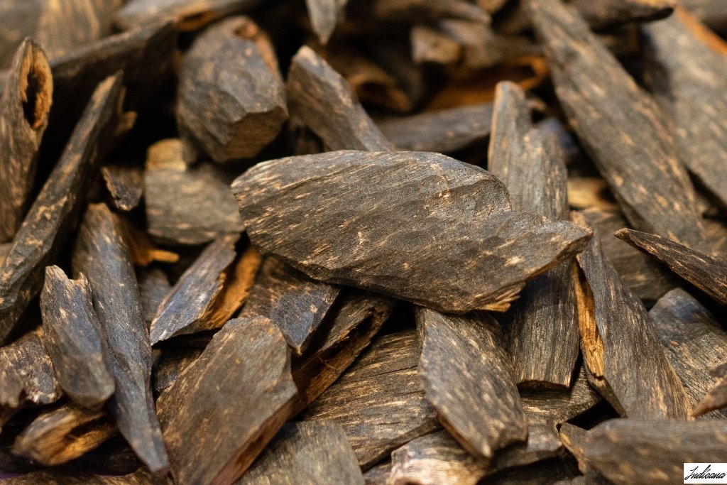 Agarwood (Oud): Nature’s Dark Treasure in Perfumery - Fragrance London