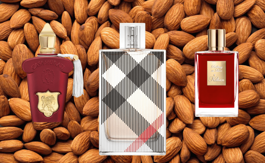 Almond Perfume Note: Roasted Warmth, Silky Comfort, and a Second-Skin Glow That Never Feels Loud - Fragrance London