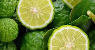Bergamot Perfume Note: Fresh Citrus with a Sparkling Twist - Fragrance London