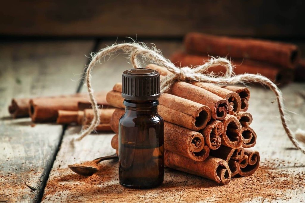 Cinnamon Perfume Note: Warm Spice, Sugared Edges, and Autumn Glow - Fragrance London