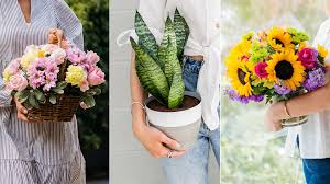 Floral Notes: How Petals, Air, and Light Turn Into a Signature You Can Wear - Fragrance London