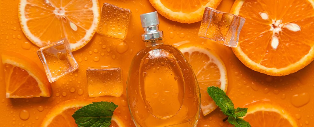 Orange Perfume Note: Juicy Warmth, Peel-Zest Sparkle, and Feel-Good Energy - Fragrance London