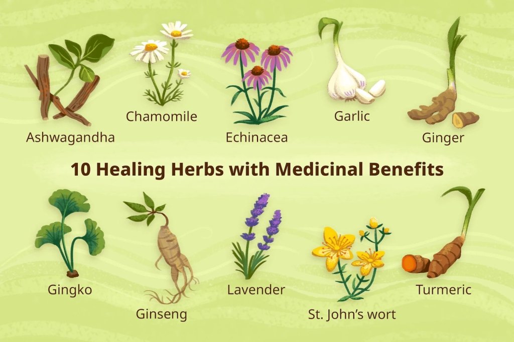 Therapeutic Properties and Health Benefits - Fragrance London