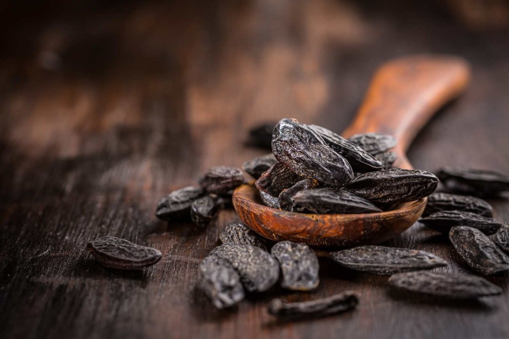 Tonka Bean Perfume Note: Warm, Sweet, and Comforting Aroma - Fragrance London