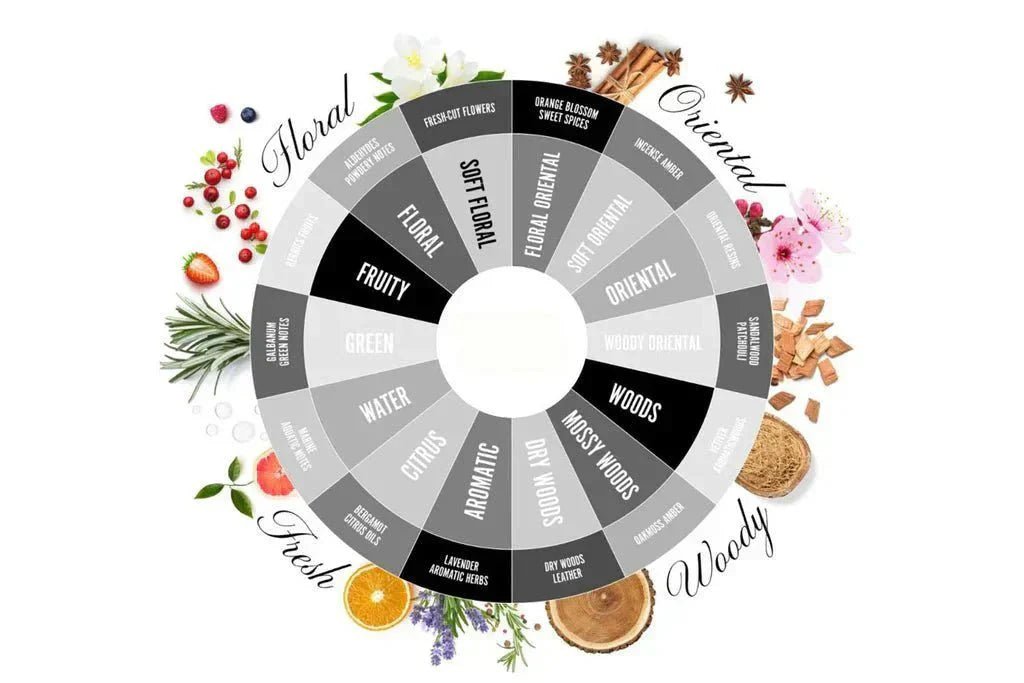 Understanding the Fragrance Wheel: A Beginner’s Guide to Perfume Families - Fragrance London