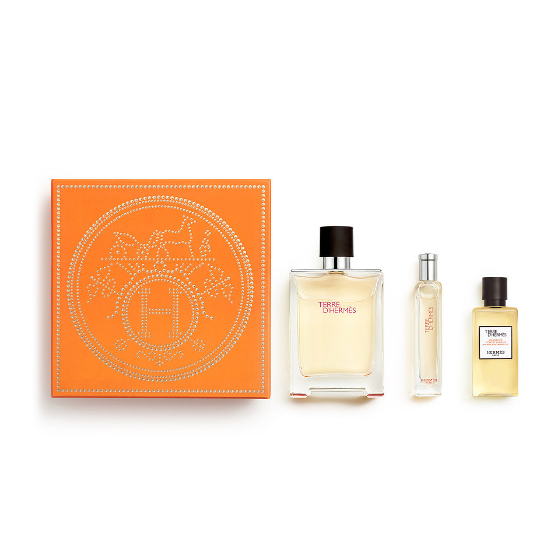 Hermes Terre D'Hermes Gift Set (Eau De Toilette Spray 100ml + Eau De Toilette Spray 15ml + Hair & Body Shower Gel 40ml)