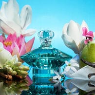 Britney Spears Curious Eau de Parfum Spray 50ml - Fragrance London