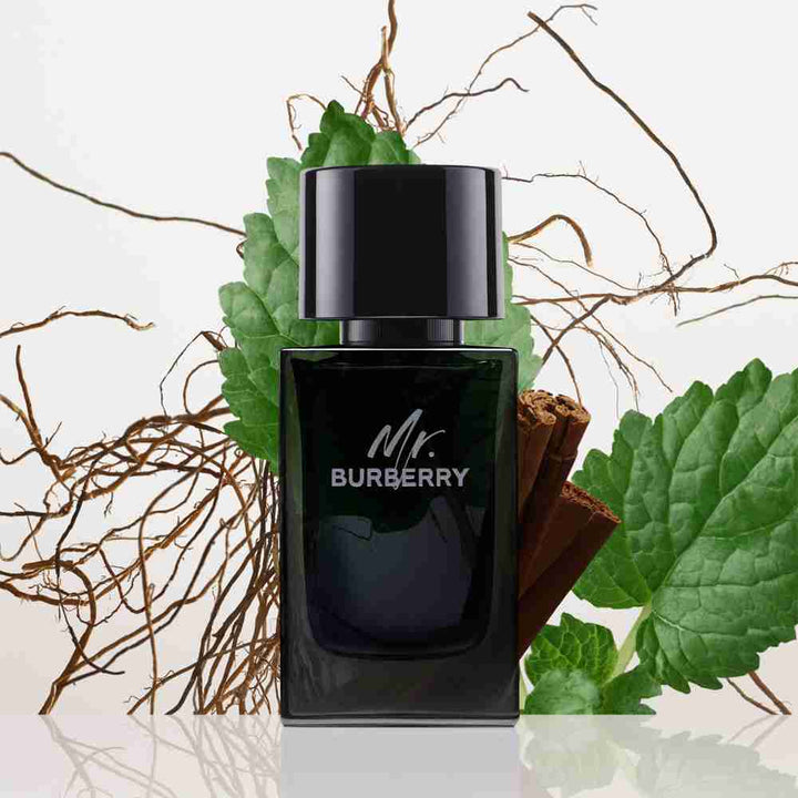 Burberry Mr Burberry Eau De Parfum Spray 50ml - Fragrance London