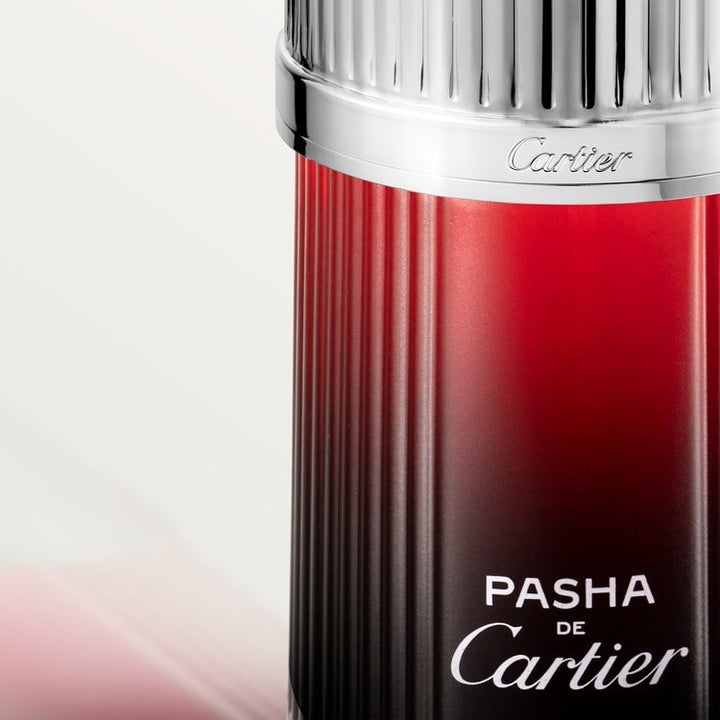 Cartier Pasha Edition Noire Sport Eau de Toilette Spray 100ml - Fragrance London