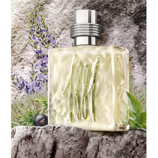Cerruti 1881 Pour Homme Eau De Toilette Spray 25ml - Fragrance London