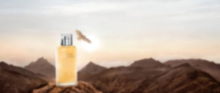 Davidoff Horizon Eau De Toilette Spray 125ml - Fragrance London