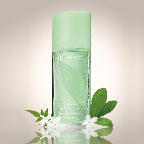 Elizabeth Arden Green Tea Scent Spray 100ml - Fragrance London
