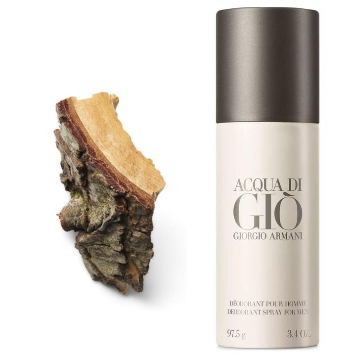 Giorgio Armani Acqua Di Gio Homme Deodorant Spray 150ml - Fragrance London