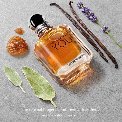 Giorgio Armani Stronger With You Pour Homme Eau De Toilette Spray 100ml - Fragrance London