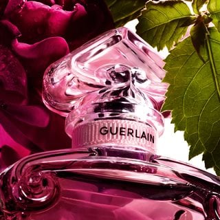 Guerlain La Petite Robe Noire Absolue Eau de Parfum Spray 30ml - Fragrance London