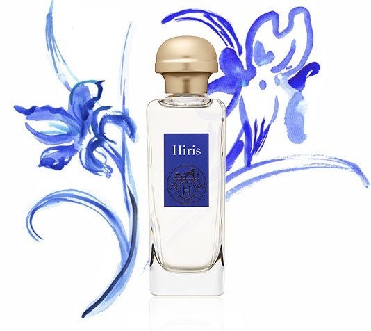Hermès Hiris Eau de Toilette Spray 100ml - Fragrance London