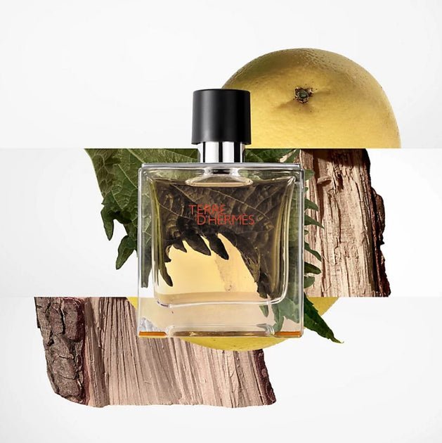 Hermes Terre D Hermes Eau de Toilette Spray 200ml - Fragrance London