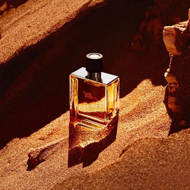 Hermes Terre D Hermes Eau de Toilette Spray 200ml - Fragrance London